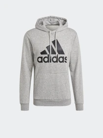 Худи и свитшоты Adidas ESSENTIALS BIG LOGO модель GK9541 Фото