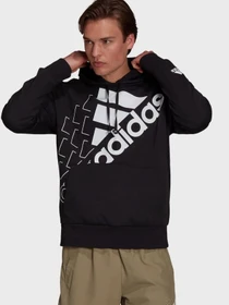Худи и свитшоты Adidas Essentials Logo модель GS8747 Фото