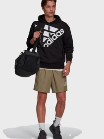 Худи и свитшоты Adidas Essentials Logo модель GS8747 Фото