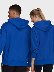 Худи и свитшоты Adidas Essentials Logo модель H14656 Фото