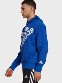 Худи и свитшоты Adidas Essentials Logo модель H14656 Фото