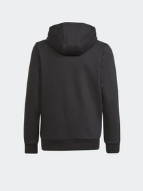 Худи и свитшоты Adidas ADICOLOR модель H32352 Фото