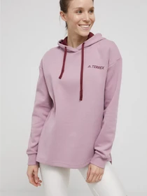 Худи и свитшоты Adidas Terrex Logo Graphic модель H50946 Фото