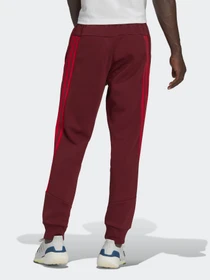 Брюки Adidas M FI 3S модель HC5262 Фото