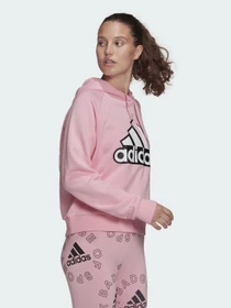 Худи и свитшоты Adidas Essentials Outlined Logo модель HC9174 Фото