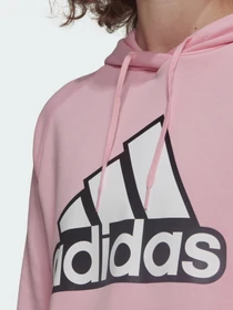 Худи и свитшоты Adidas Essentials Outlined Logo модель HC9174 Фото