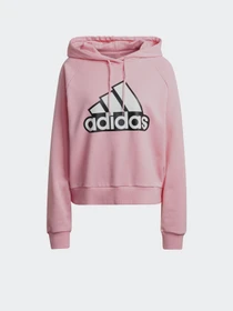 Худи и свитшоты Adidas Essentials Outlined Logo модель HC9174 Фото