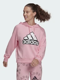 Худи и свитшоты Adidas Essentials Outlined Logo модель HC9174 Фото