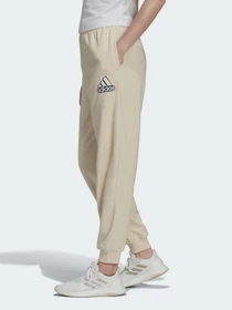 Брюки Adidas Essentials Outline Logo модель HC9175 Фото