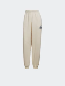 Брюки Adidas Essentials Outline Logo модель HC9175 Фото