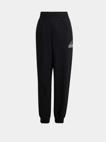 Брюки Adidas Essentials Outline Logo модель HC9176 Фото