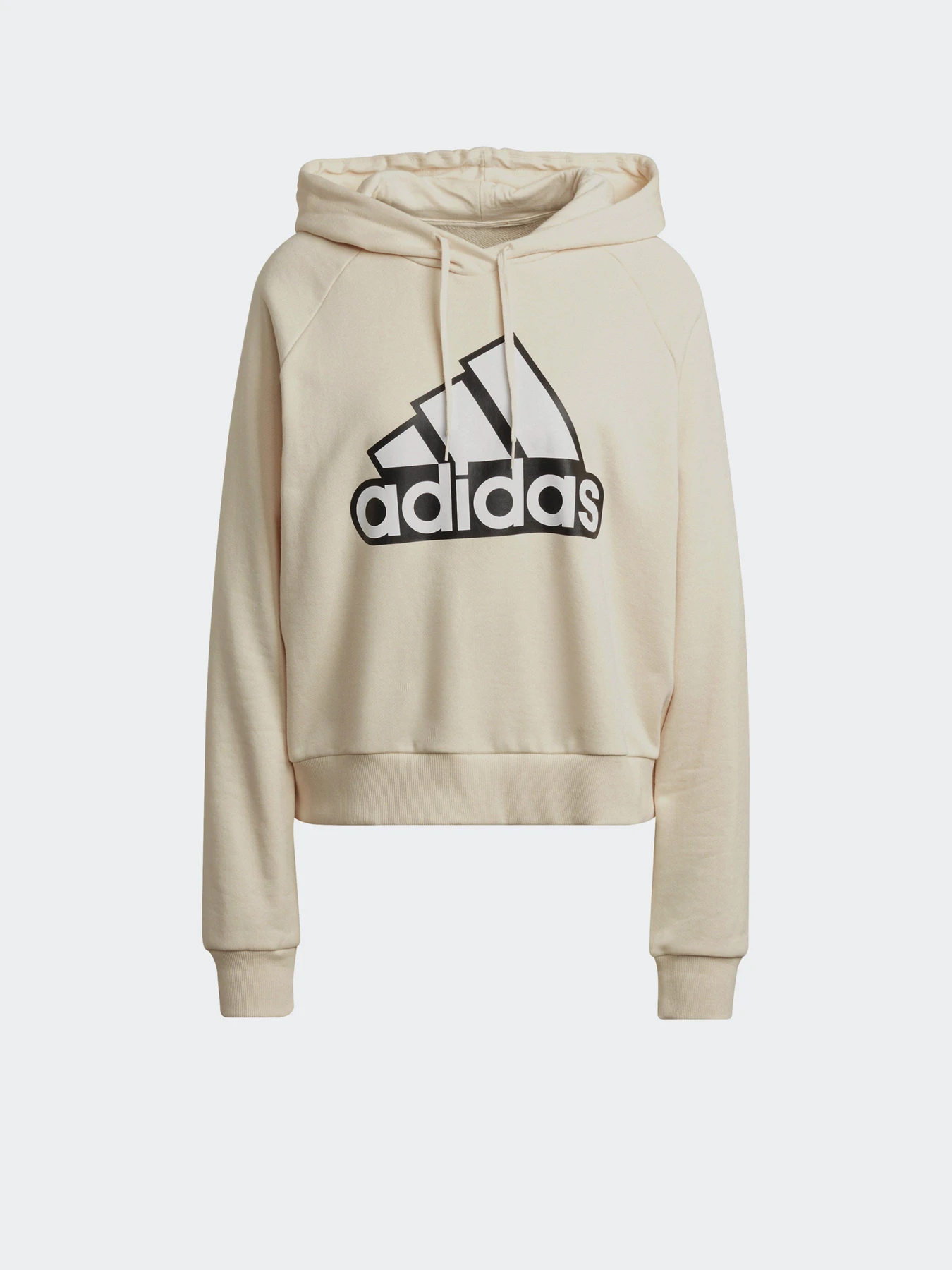 Худи и свитшоты Adidas Essentials Outlined Logo модель HC9179 Фото