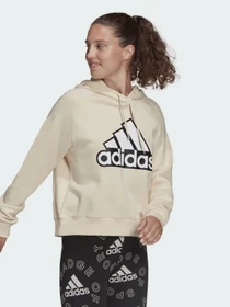 Худи и свитшоты Adidas Essentials Outlined Logo модель HC9179 Фото