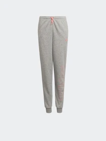 Брюки Adidas ESSENTIALS модель HE1976 Фото