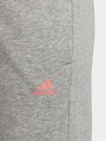 Брюки Adidas ESSENTIALS модель HE1976 Фото