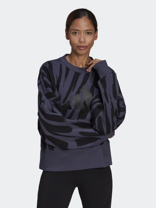 Худі та світшоти Adidas Sportswear Future Icons Feel Fierce Graphic модель HF4073 Фото