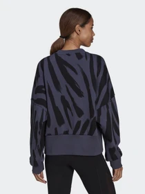 Худі та світшоти Adidas Sportswear Future Icons Feel Fierce Graphic модель HF4073 Фото