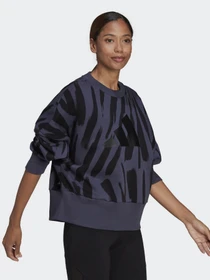 Худі та світшоти Adidas Sportswear Future Icons Feel Fierce Graphic модель HF4073 Фото