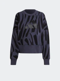 Худі та світшоти Adidas Sportswear Future Icons Feel Fierce Graphic модель HF4073 Фото