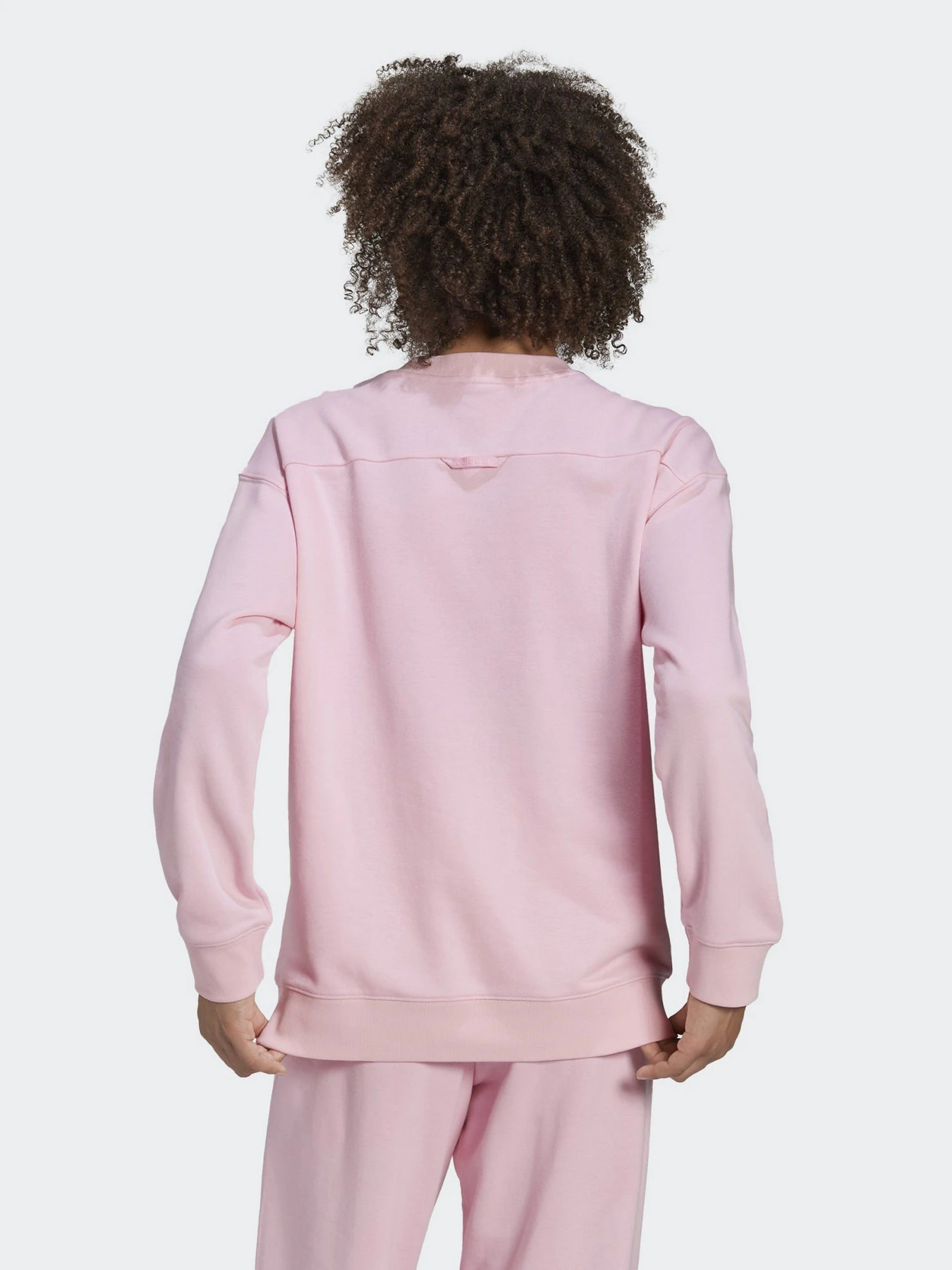 Худи и свитшоты Adidas Crew Neck модель HM4869 Фото