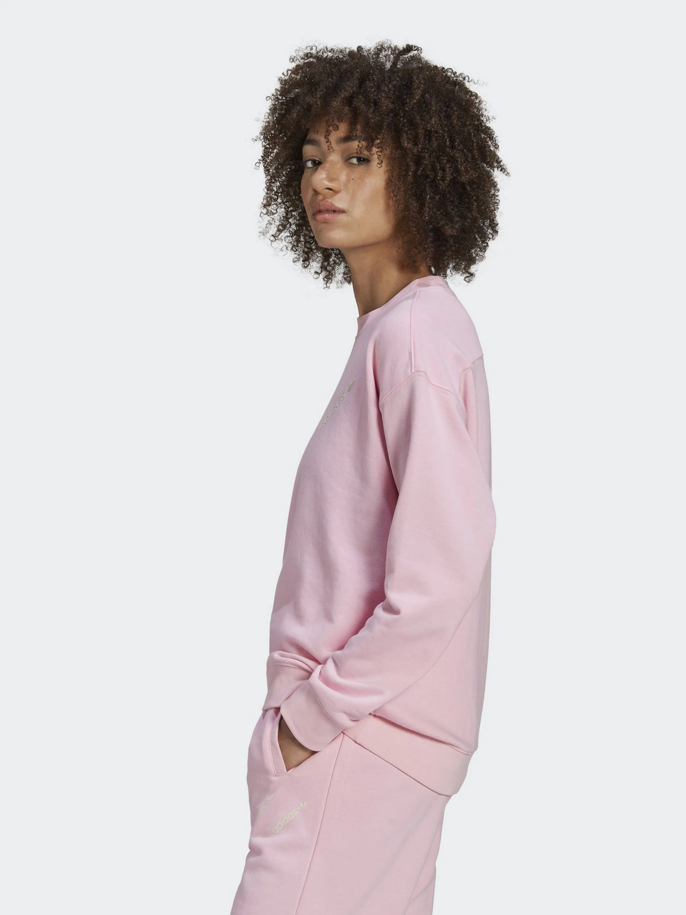 Худи и свитшоты Adidas Crew Neck модель HM4869 Фото
