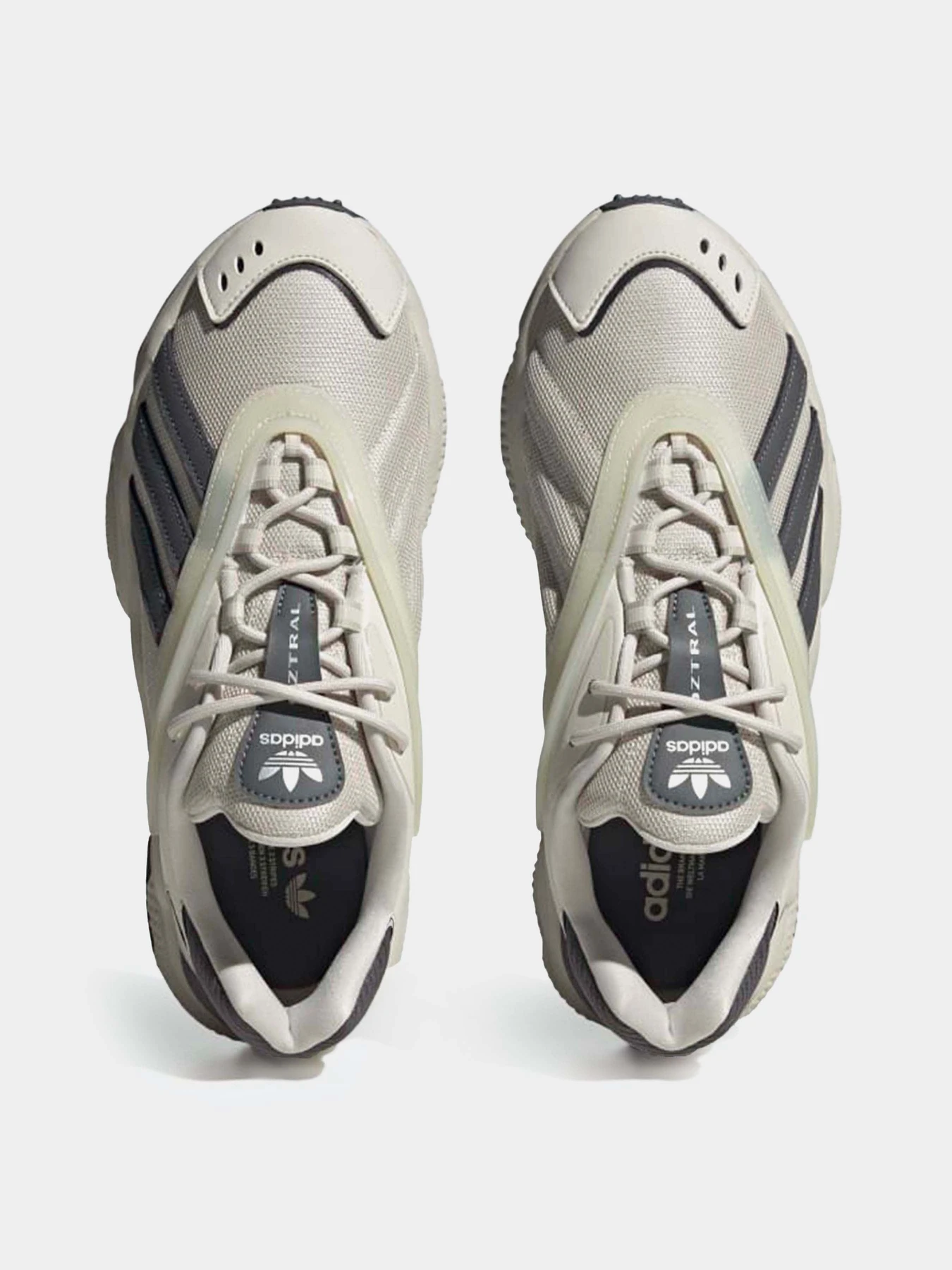 Кросівки Adidas Originals Oztral модель GZ9409 Кросівки Adidas Originals Oztral модель GZ9409 Фото
