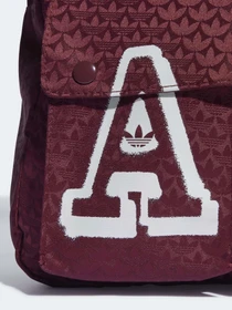 Рюкзаки Adidas Trefoi lJacquard Monogram 21L модель IC2087 Фото