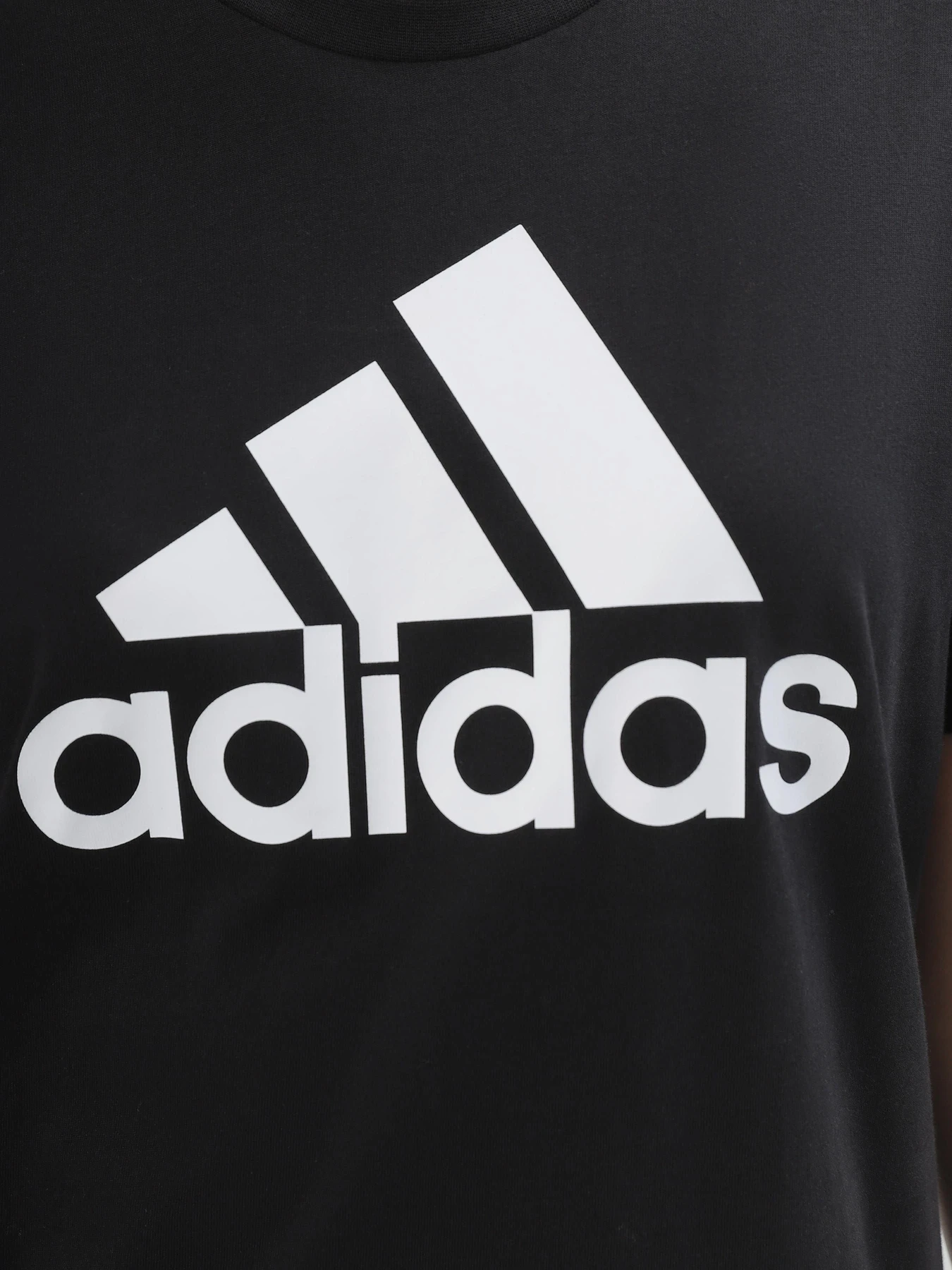 Футболки и поло Adidas ESSENTIALS LOGO SPORTSWEAR модель GL0722 Футболки и поло Adidas ESSENTIALS LOGO SPORTSWEAR модель GL0722 Фото