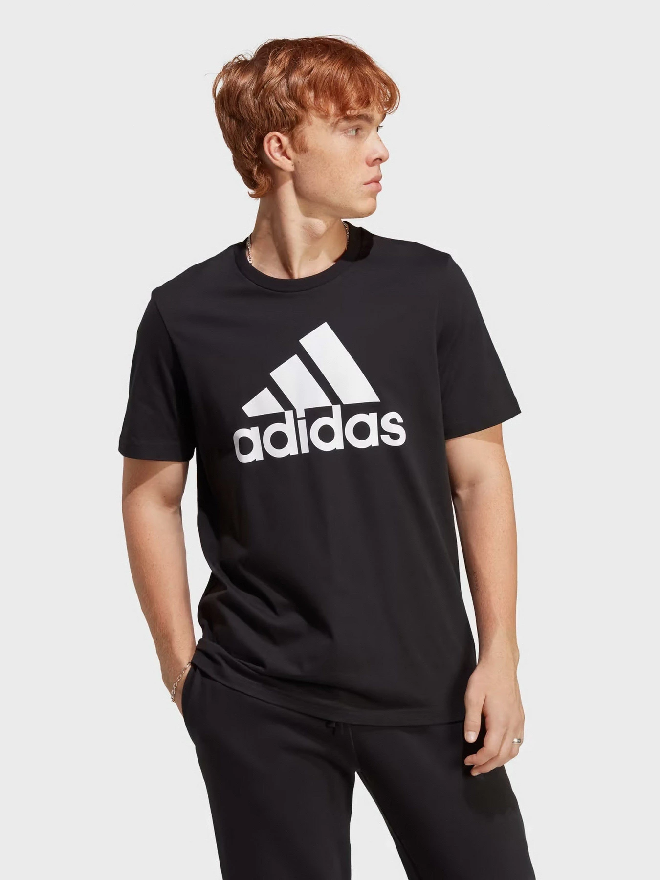 Футболки и поло Adidas Essentials Single Jersey Big Logo модель IC9347 Футболки и поло Adidas Essentials Single Jersey Big Logo модель IC9347 Фото