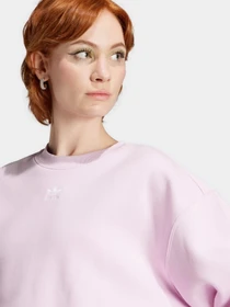 Худи и свитшоты Adidas Adicolor Essentials Originals модель IJ9771 Фото
