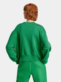 Худи и свитшоты Adidas Adicolor Essentials Originals модель IJ9772 Фото