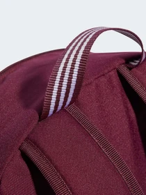 Рюкзаки Adidas Adicolor модель IL1961 Фото
