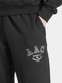 Брюки Adidas AAC Originals модель HZ0698 Фото