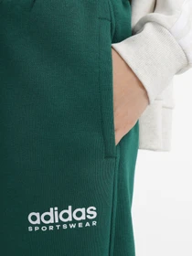 Брюки Adidas All SZN Fleece Graphic Sportswear модель IL3240 Фото