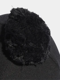 Шапки та кепки Adidas Pompom Beanie модель IB2654 Фото