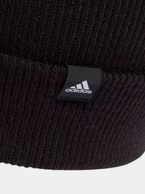Шапки та кепки Adidas 2-Color Logo модель IB3236 Фото
