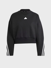 Худи и свитшоты Adidas FUTURE ICONS 3-STRIPES модель IP1549 Фото