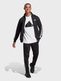 Костюмы Adidas BASIC 3-STRIPES TRICOT модель IC6747 Фото