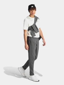 Штани Adidas FUTURE ICONS BADGE OF SPORT модель IR9177 Фото