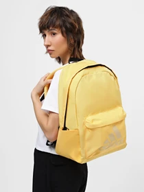 Рюкзаки Adidas CLSC BOS 27.5L модель IR9841 Фото
