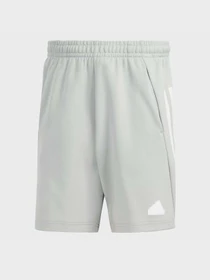 Шорты Adidas FUTURE ICONS 3-STRIPES SPORTSW модель IR9165 Фото