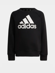 Костюмы Adidas ESSENTIALS LOGO FRENCH TERRY модель HG4464 Фото