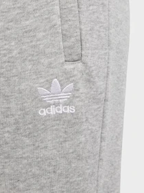 Брюки Adidas ADICOLOR модель IP3077 Фото