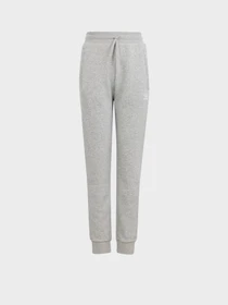 Штани Adidas ADICOLOR модель IP3077 Фото
