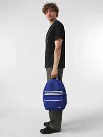 Рюкзаки Adidas LK CLASSIC 21L модель JF1178 Фото