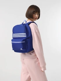 Рюкзаки Adidas LK CLASSIC 21L модель JF1178 Фото