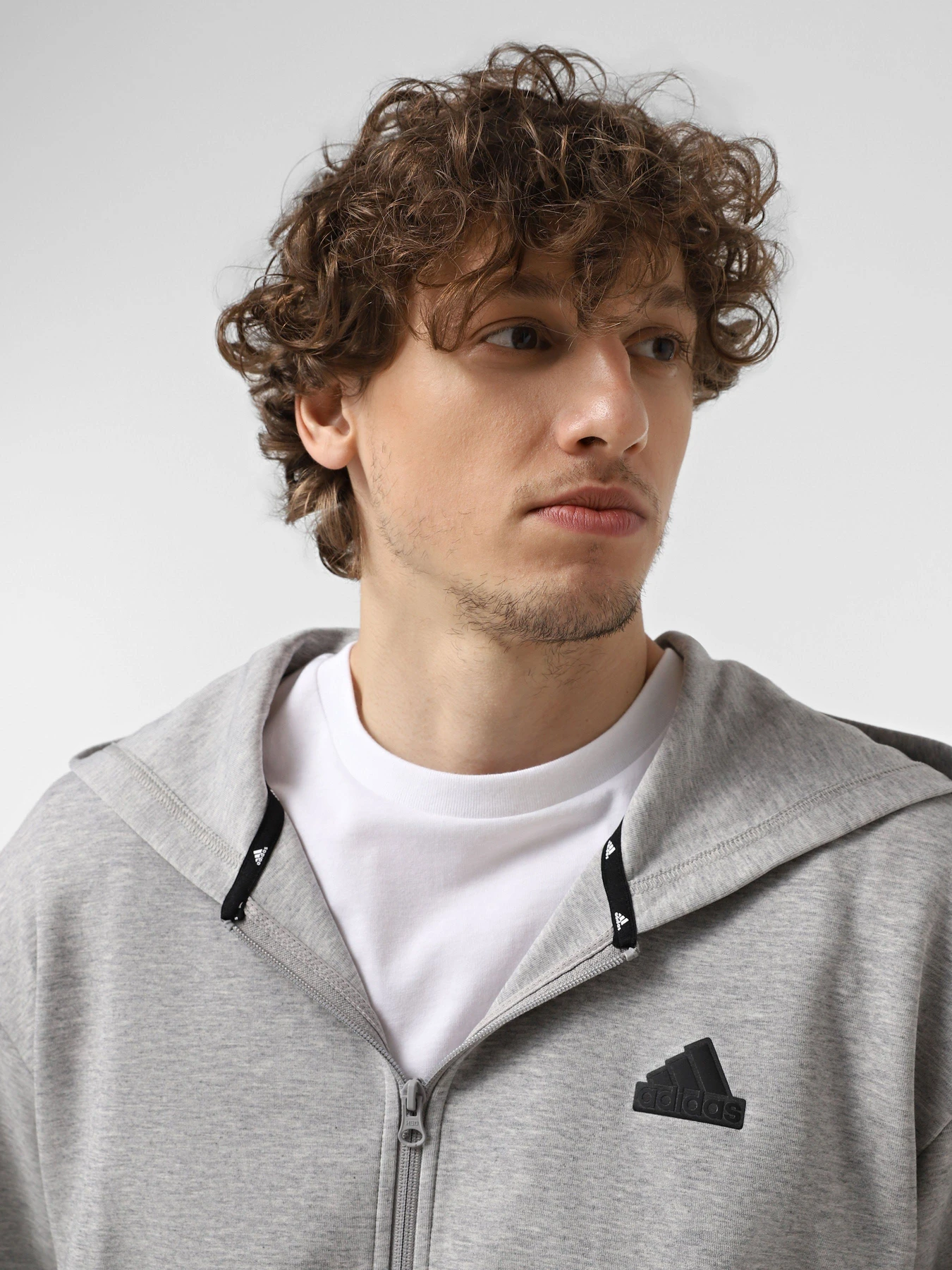 Худи и свитшоты Adidas FUTURE ICONS DOUBLEKNIT FULL-Z модель IW8597 Худи и свитшоты Adidas FUTURE ICONS DOUBLEKNIT FULL-Z модель IW8597 Фото