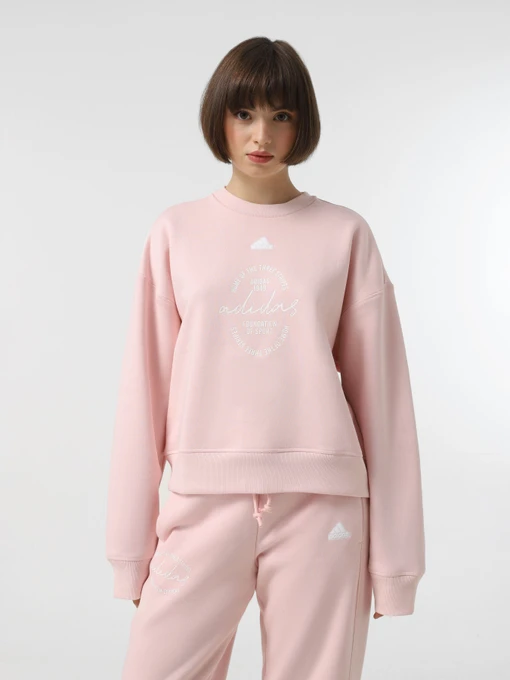 Худи и свитшоты Adidas BLUV Q3 модель IY1455 Фото