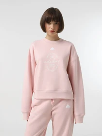 Худи и свитшоты Adidas BLUV Q3 модель IY1455 Фото