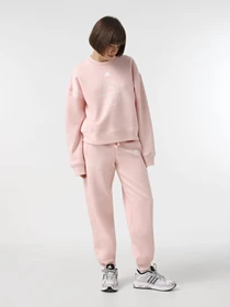Брюки Adidas BLUV Q3 модель IY1472 Фото
